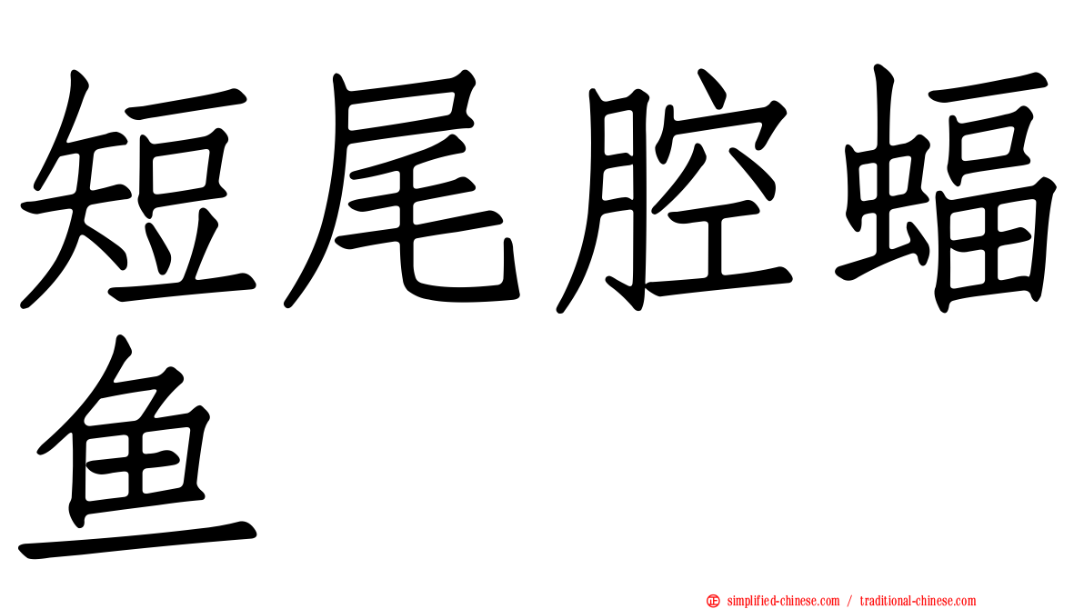 短尾腔蝠鱼