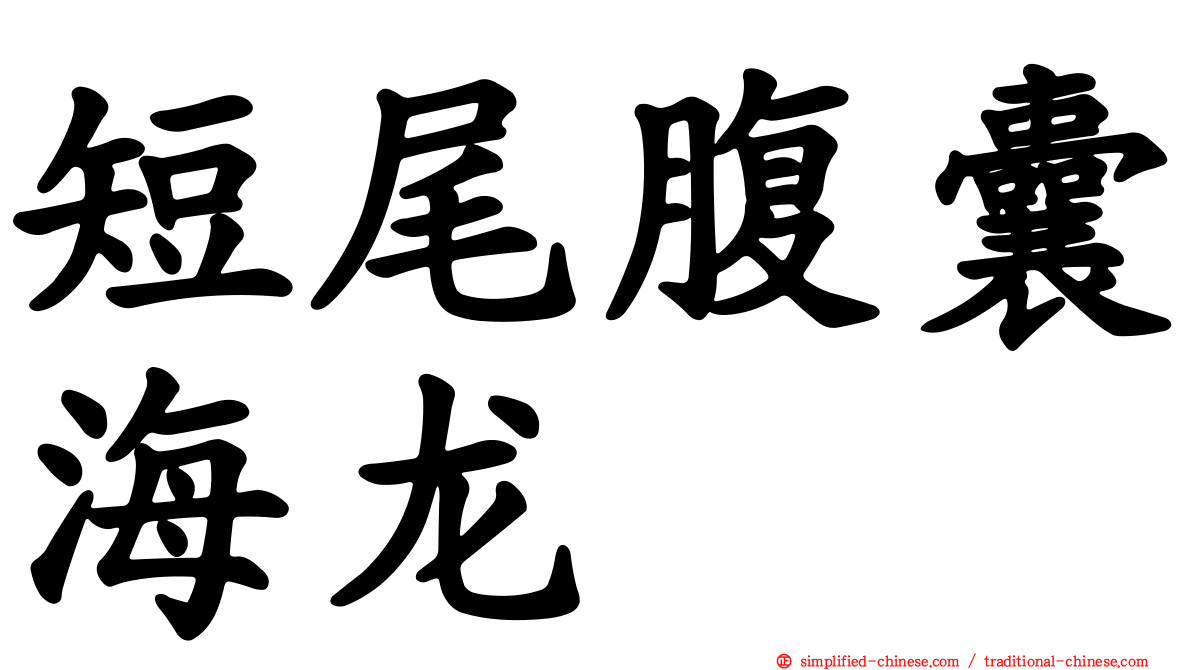 短尾腹囊海龙