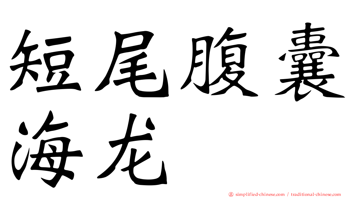短尾腹囊海龙
