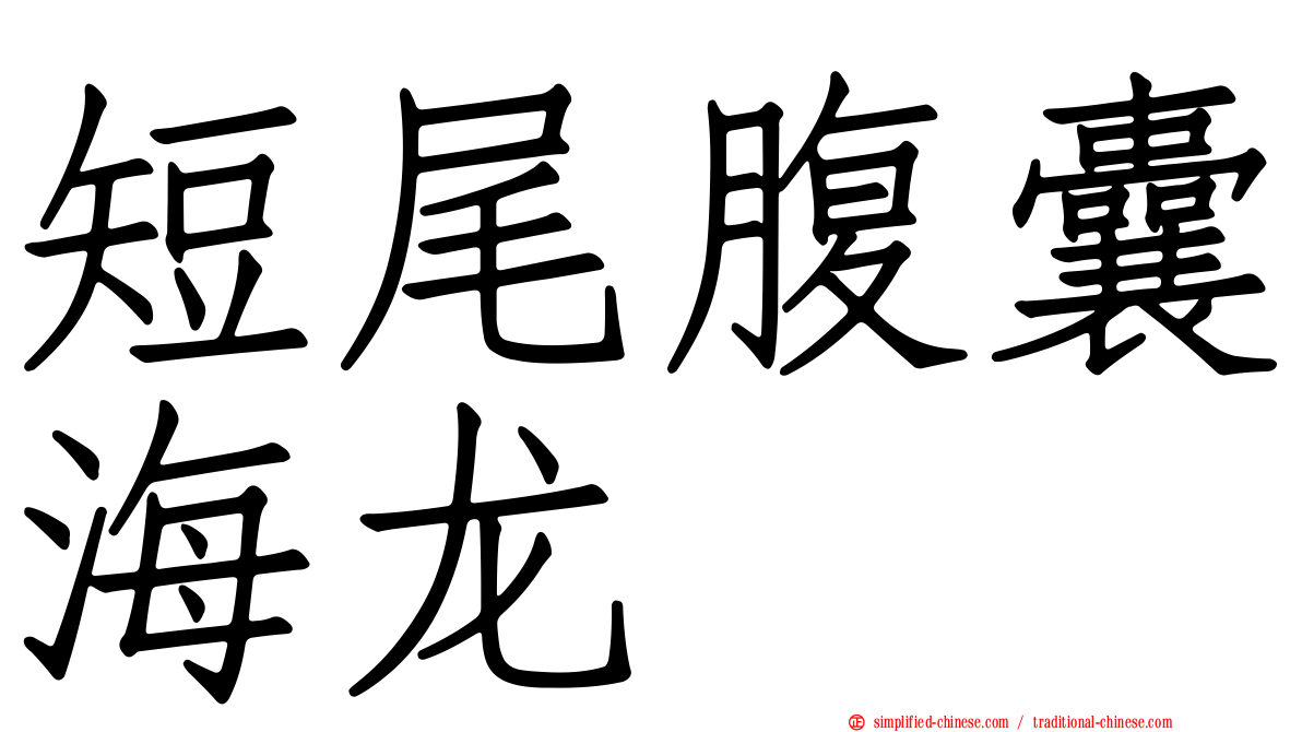 短尾腹囊海龙