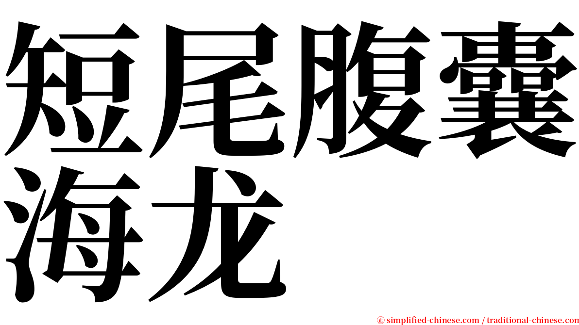 短尾腹囊海龙 serif font