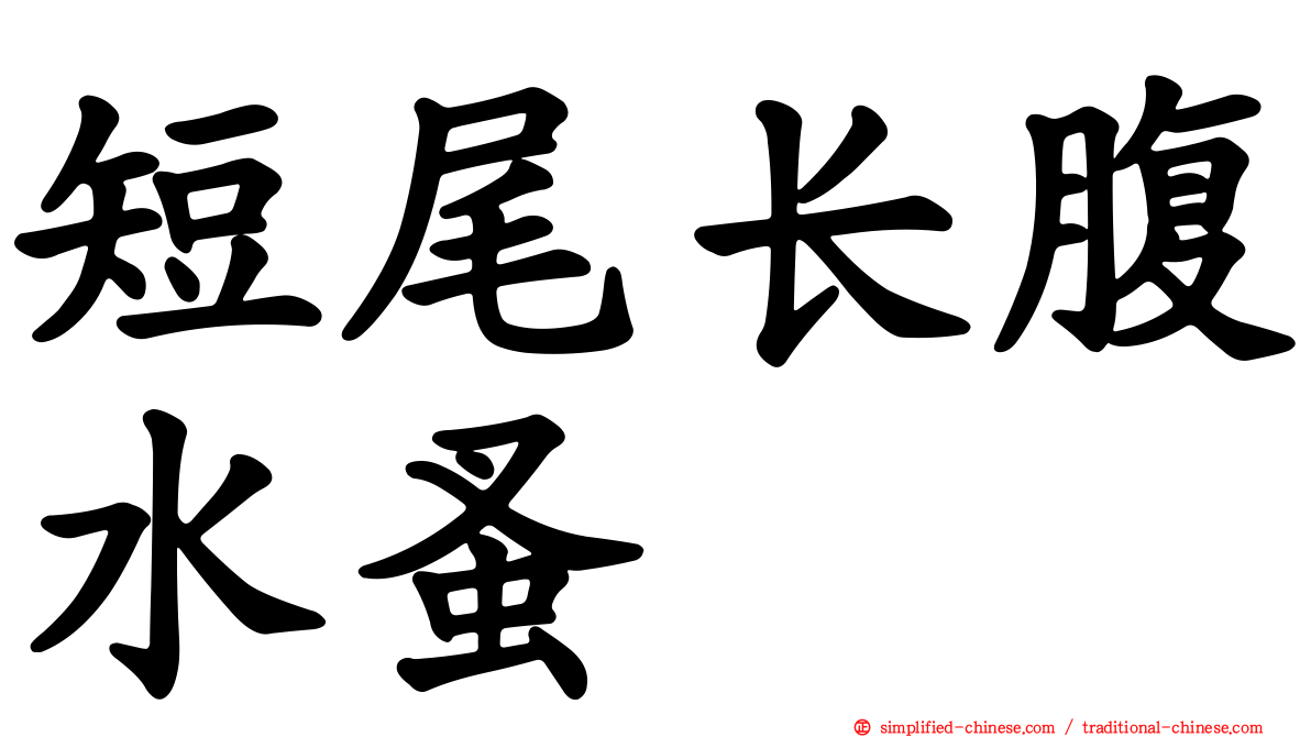 短尾长腹水蚤