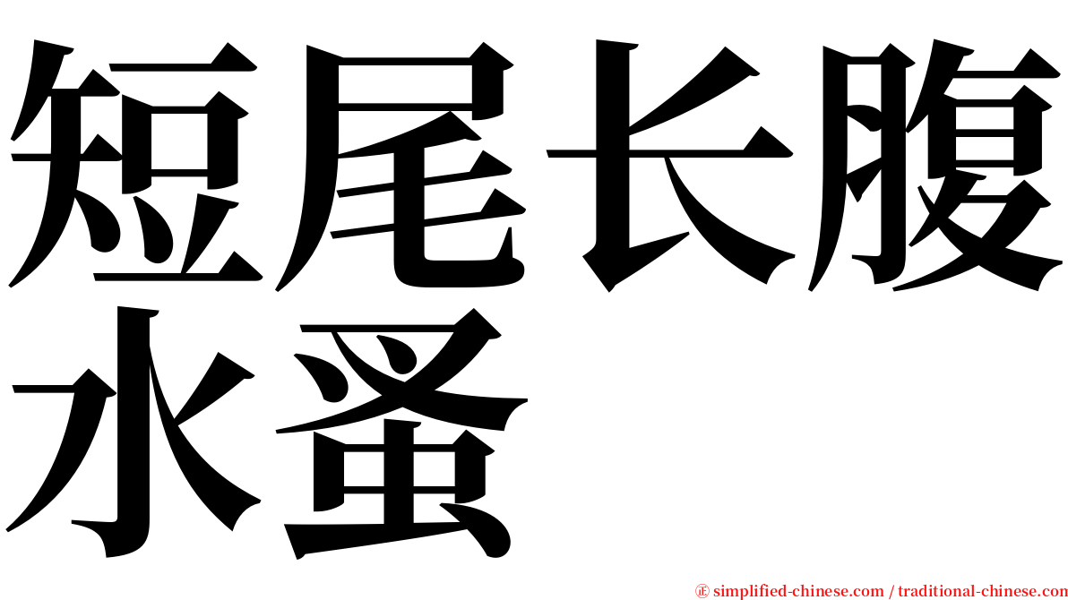 短尾长腹水蚤 serif font