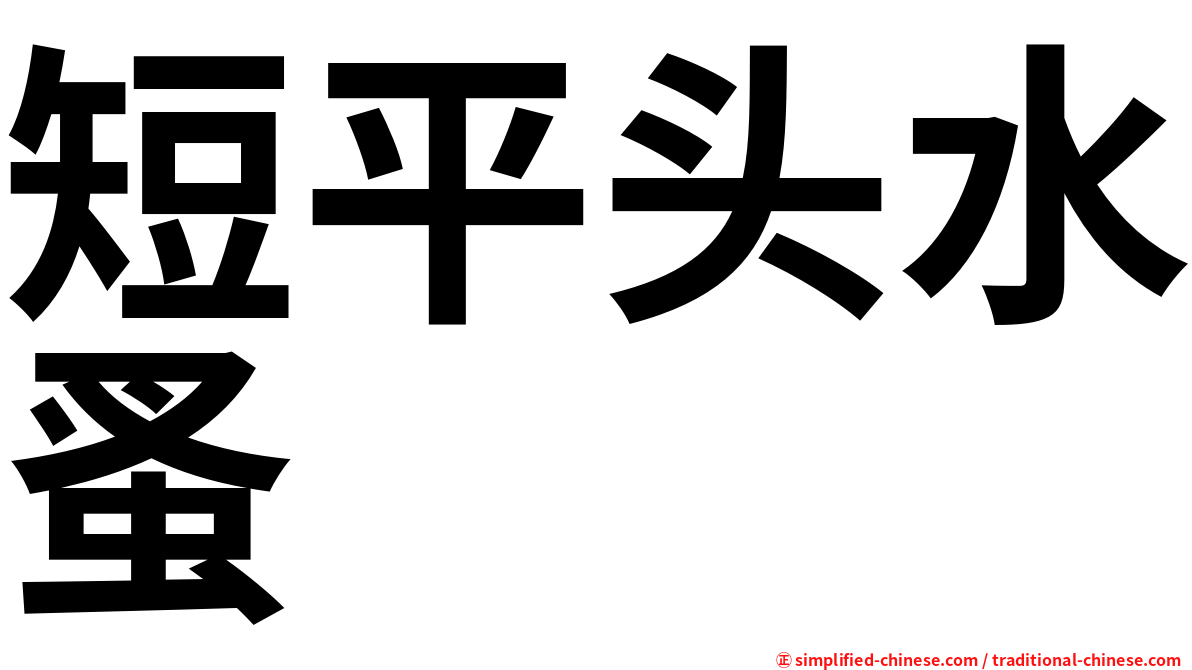 短平头水蚤