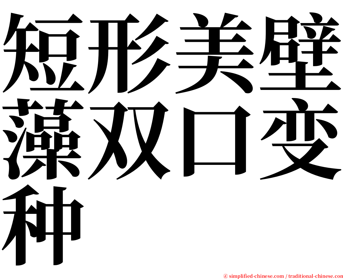 短形美壁藻双口变种 serif font