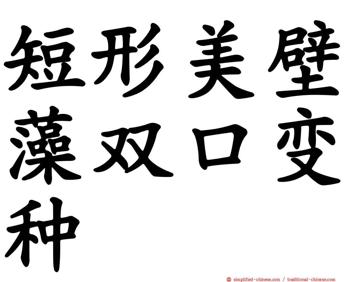 短形美壁藻双口变种