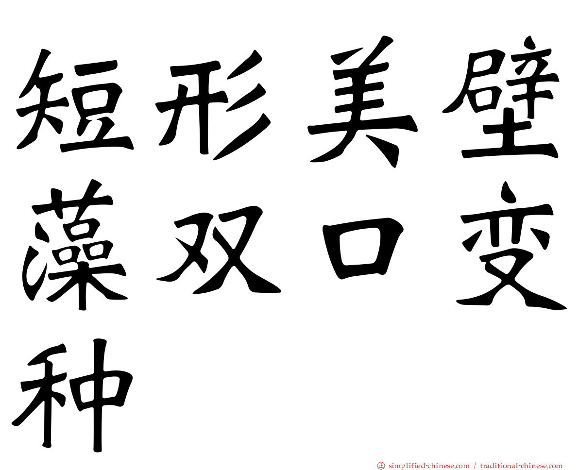 短形美壁藻双口变种