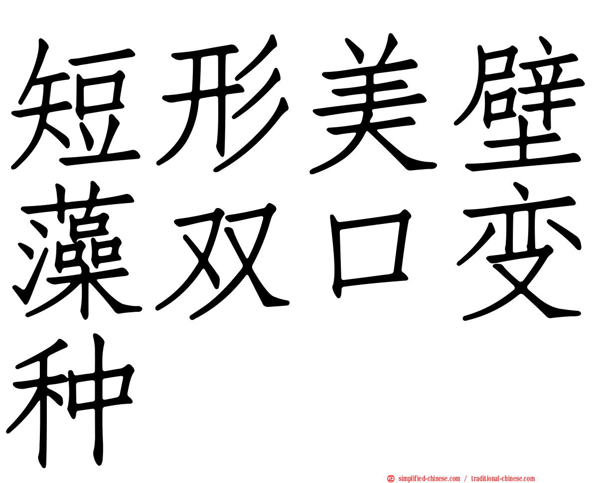短形美壁藻双口变种