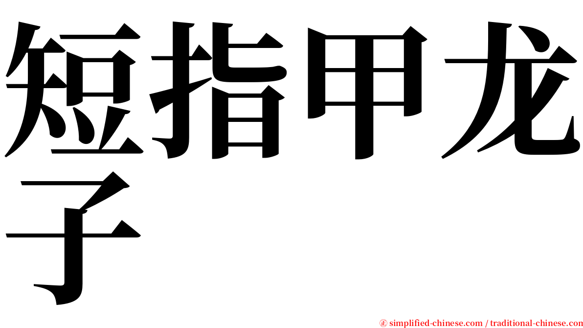 短指甲龙子 serif font