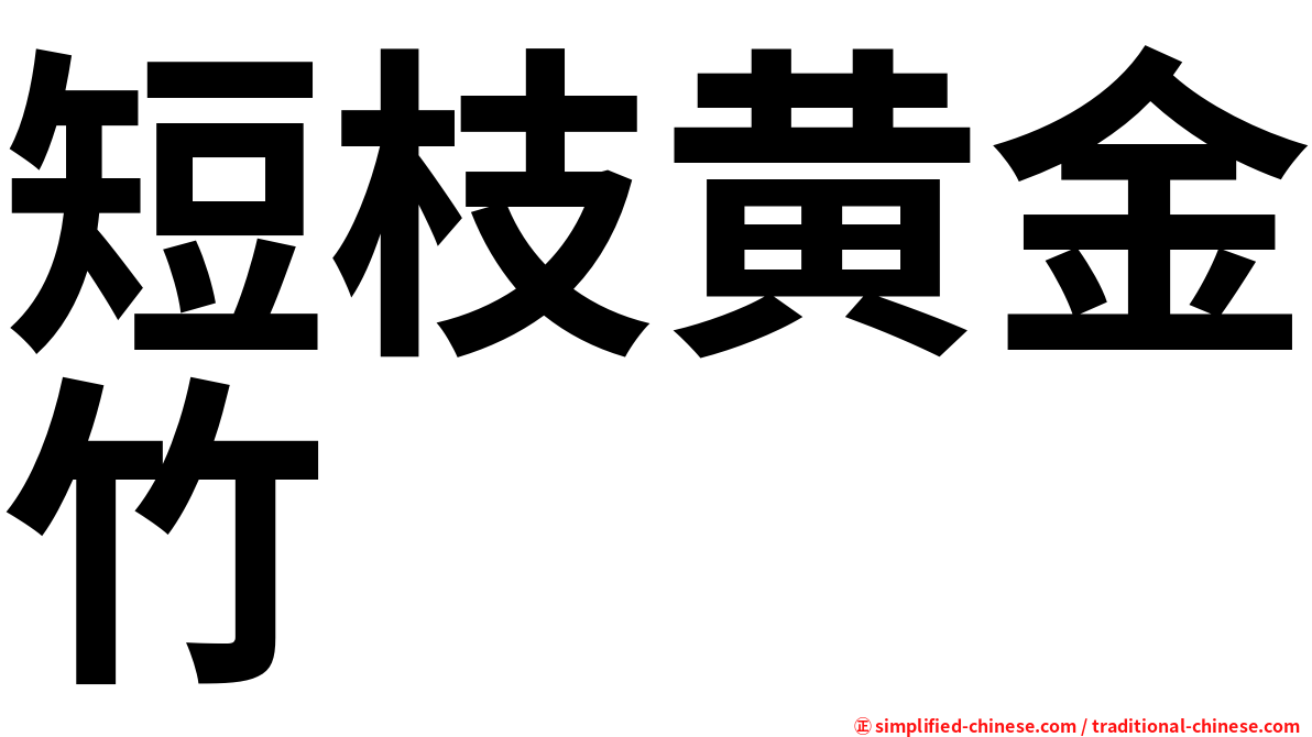 短枝黄金竹