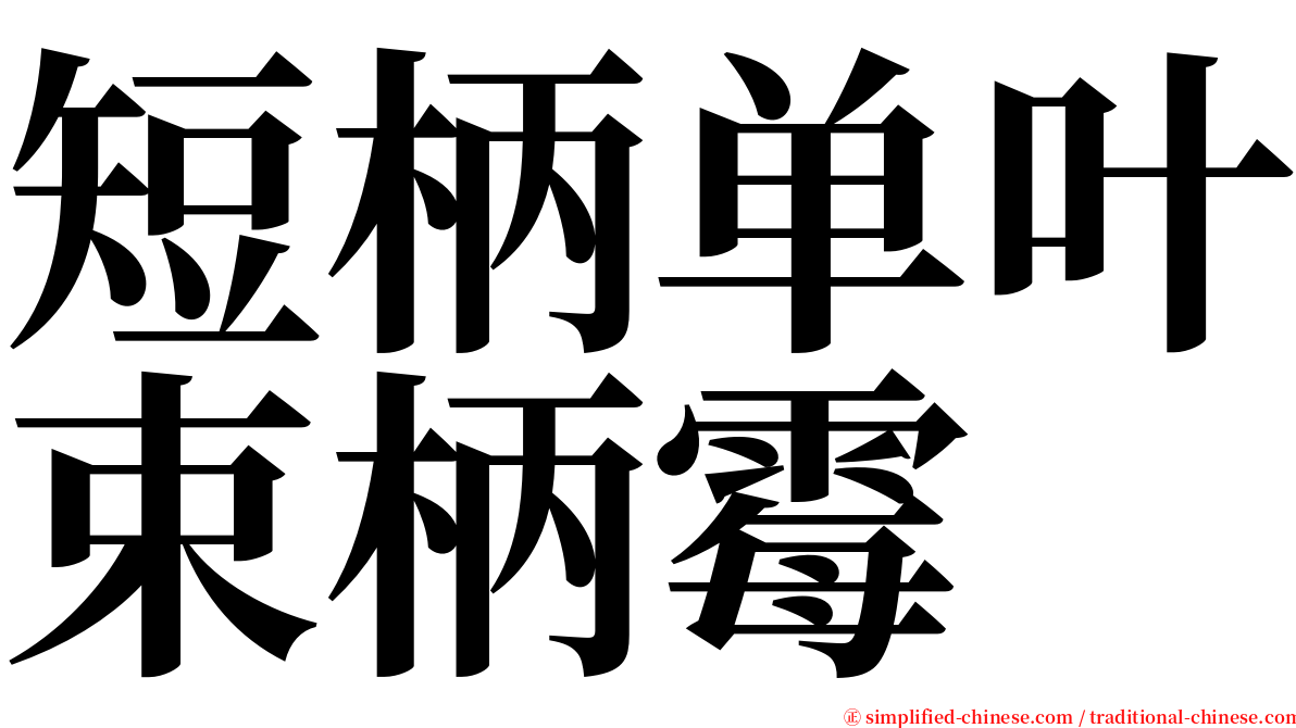 短柄单叶束柄霉 serif font