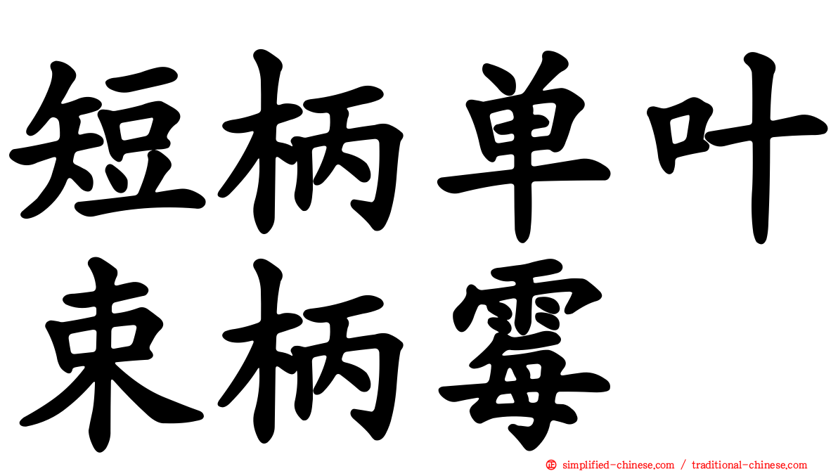 短柄单叶束柄霉