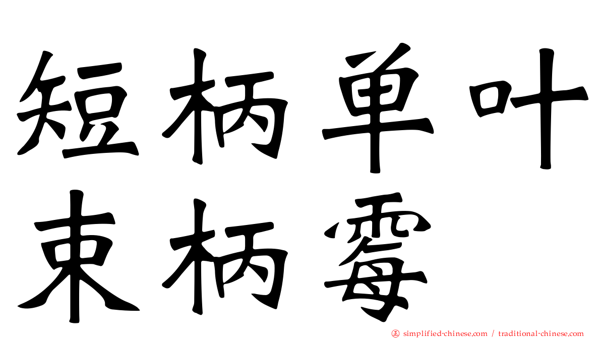短柄单叶束柄霉