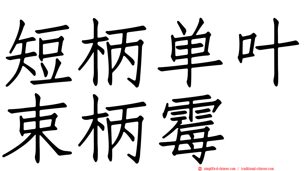 短柄单叶束柄霉
