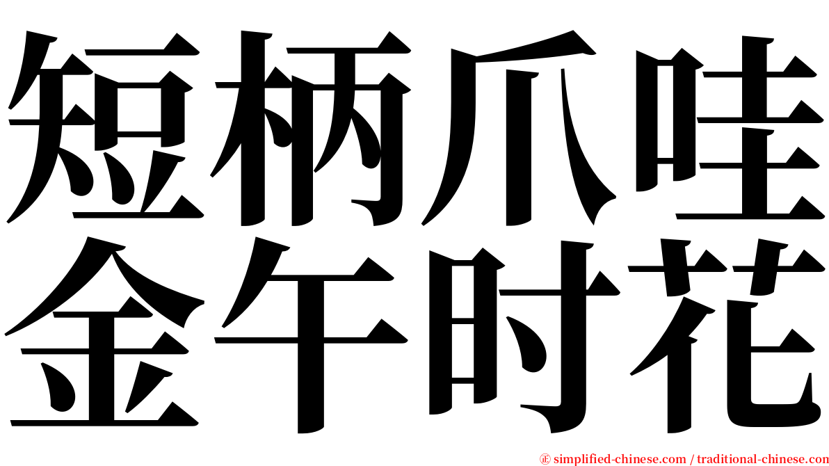 短柄爪哇金午时花 serif font