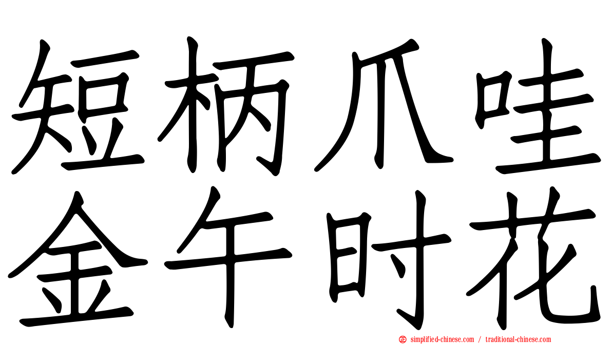 短柄爪哇金午时花
