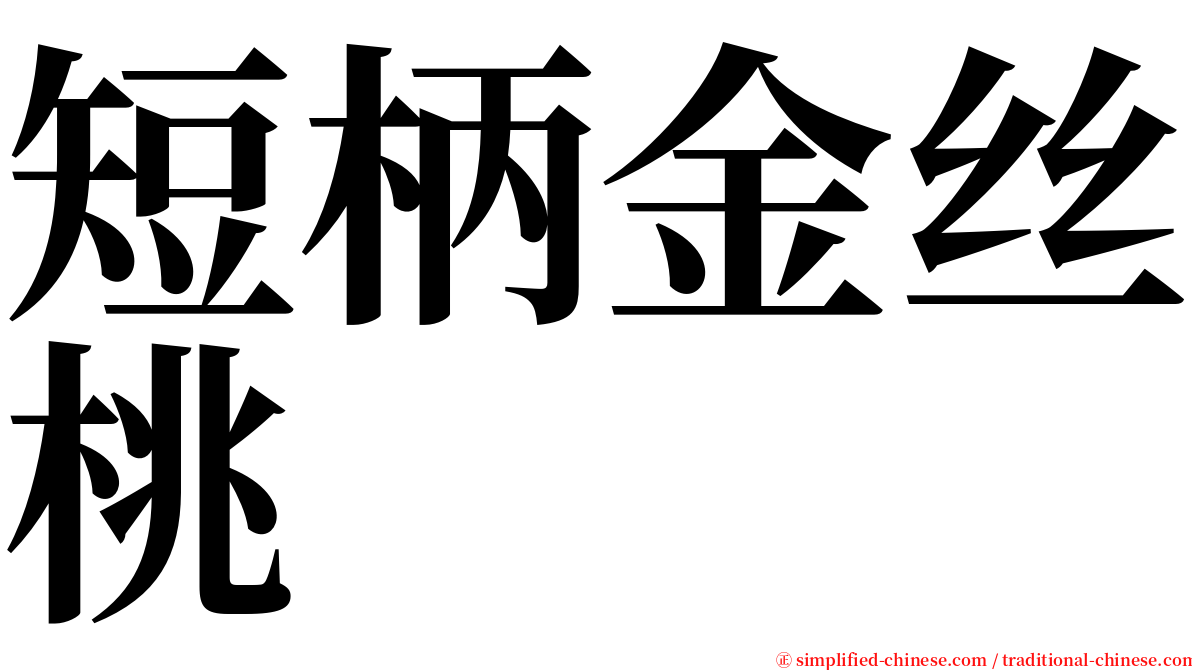短柄金丝桃 serif font