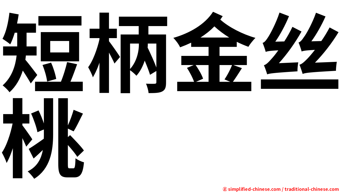 短柄金丝桃