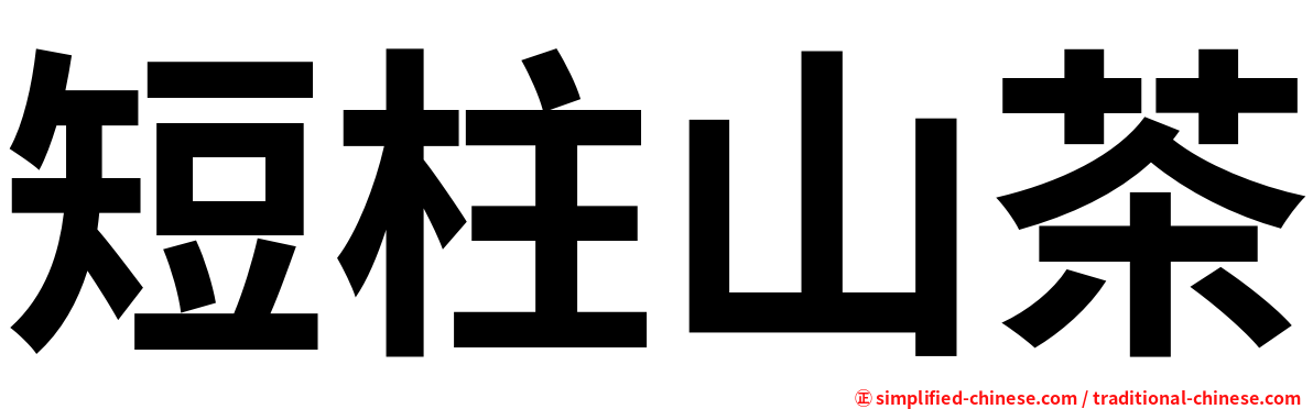 短柱山茶