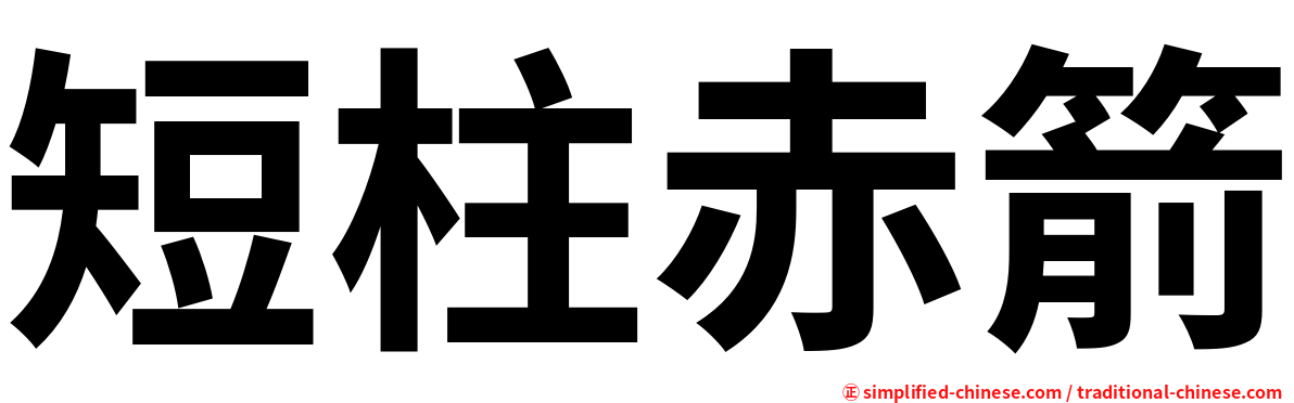 短柱赤箭