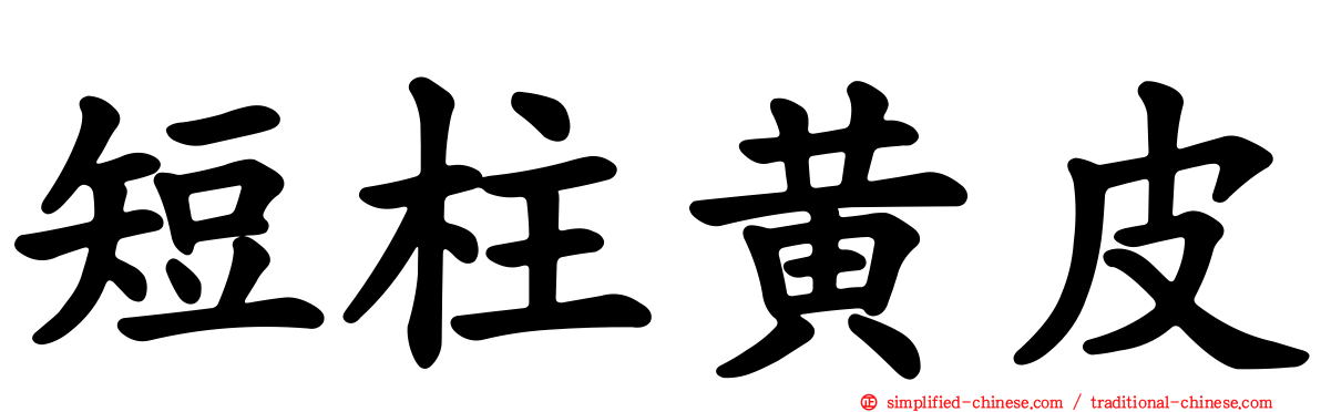 短柱黄皮