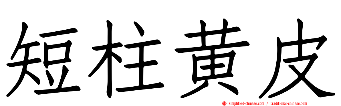 短柱黄皮