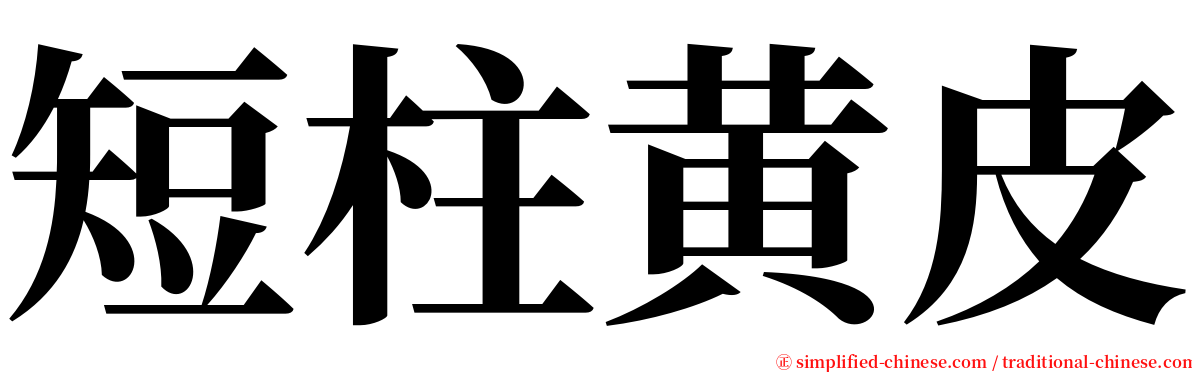 短柱黄皮 serif font
