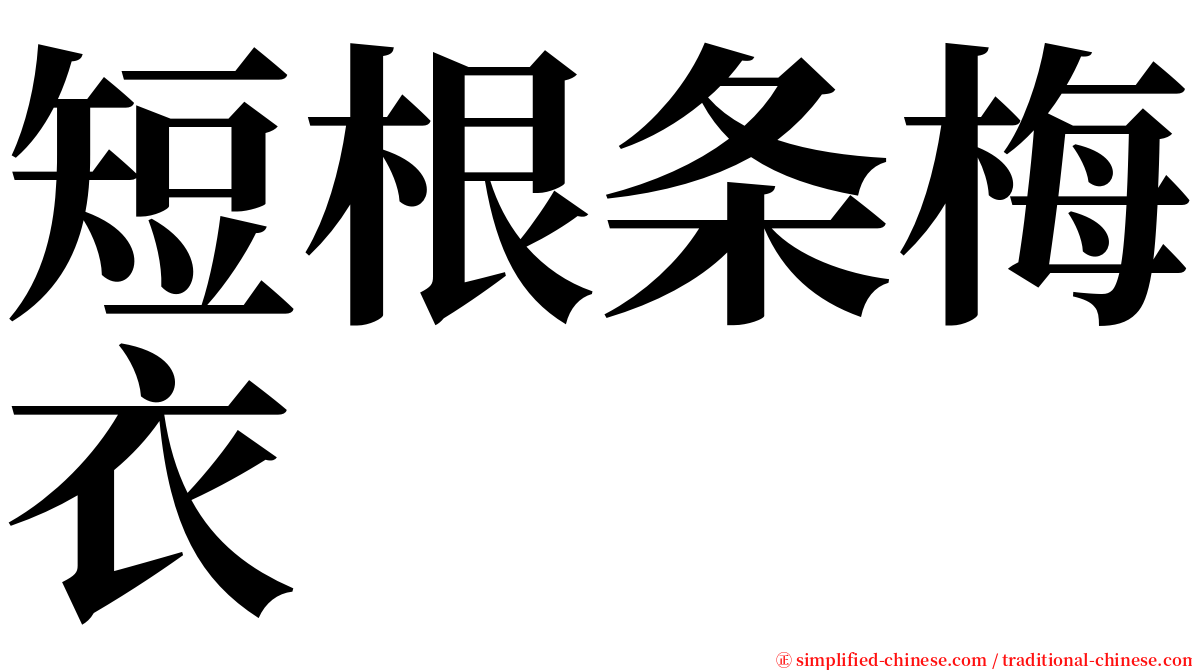 短根条梅衣 serif font