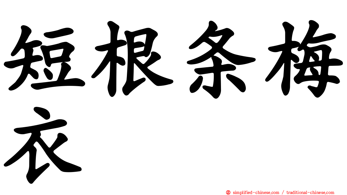 短根条梅衣