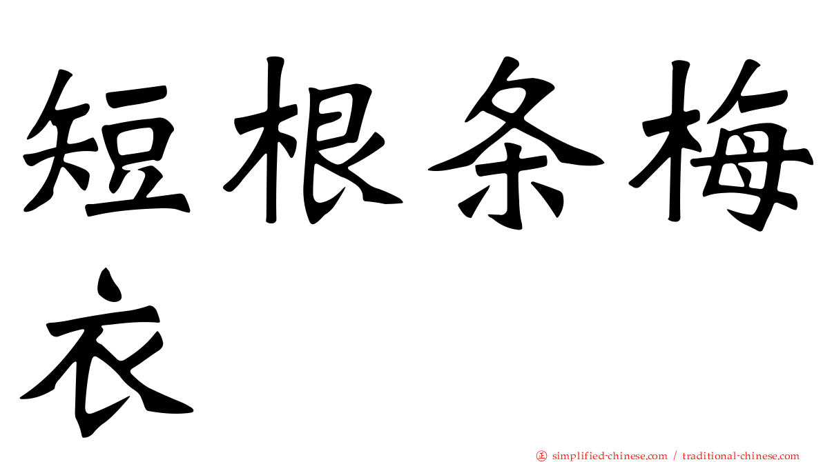 短根条梅衣