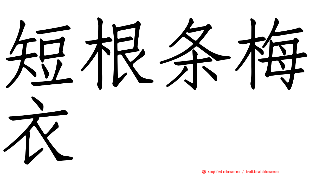 短根条梅衣