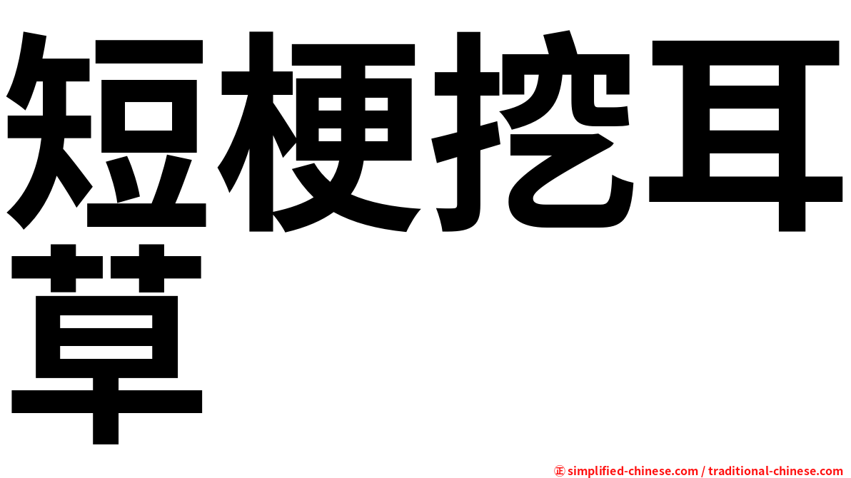 短梗挖耳草