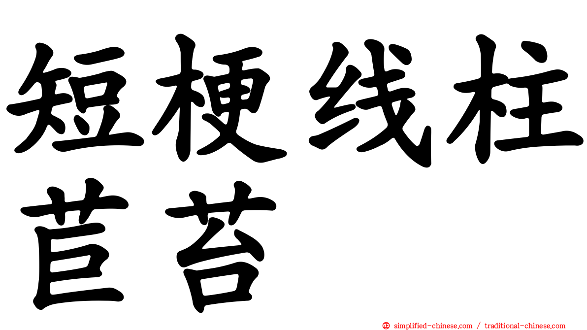 短梗线柱苣苔