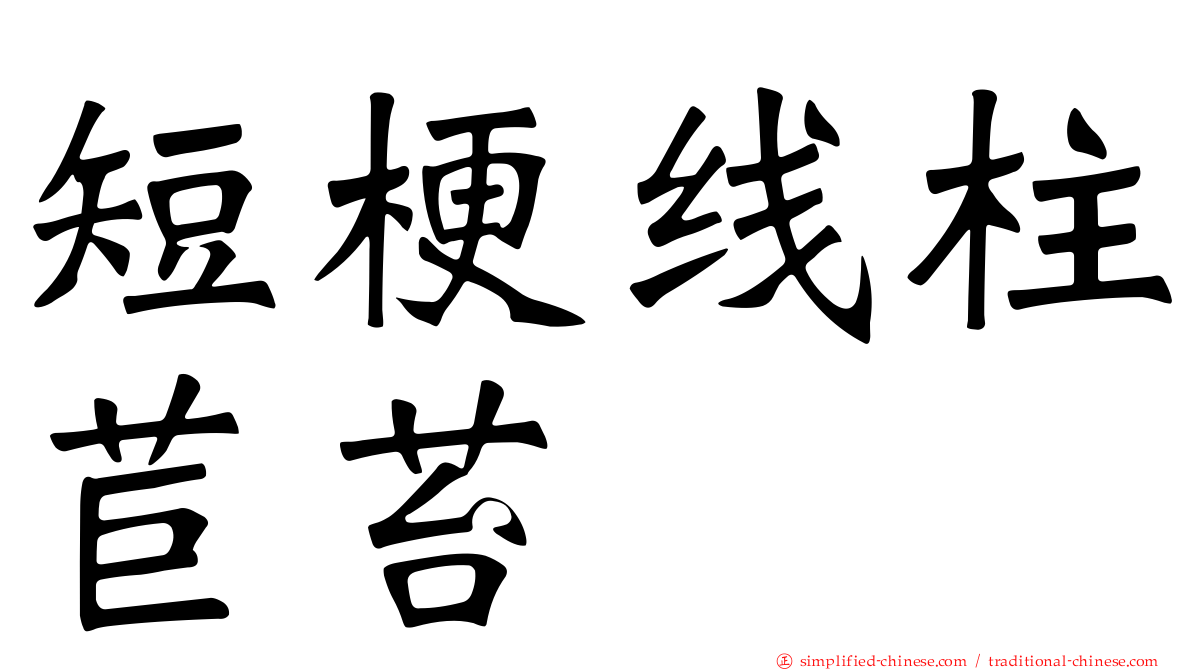 短梗线柱苣苔