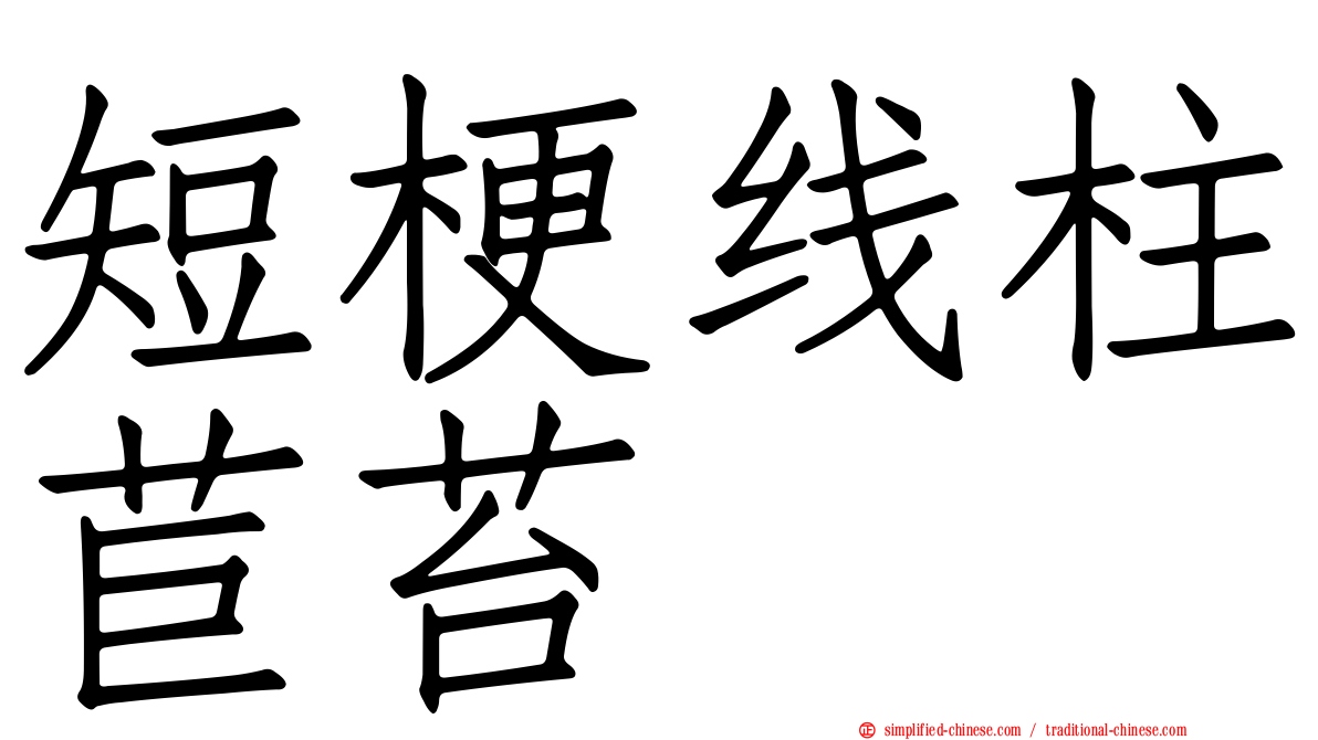短梗线柱苣苔