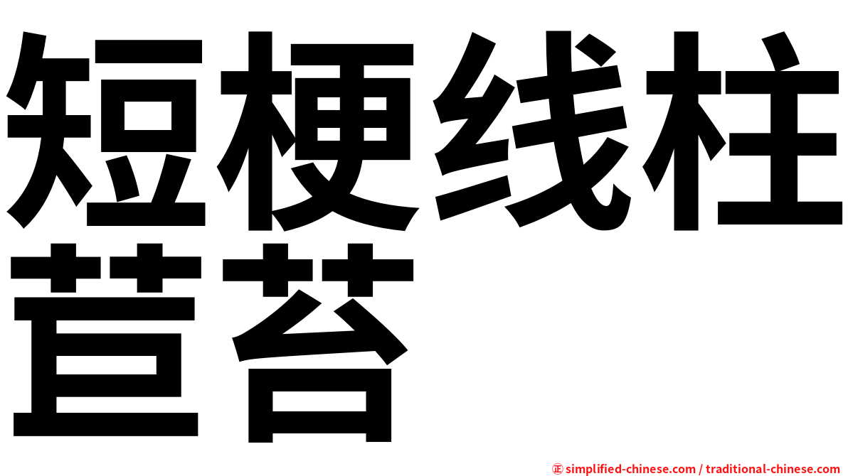 短梗线柱苣苔
