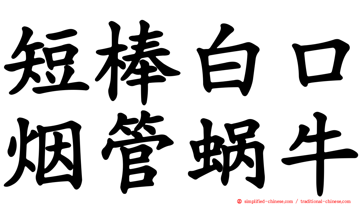 短棒白口烟管蜗牛