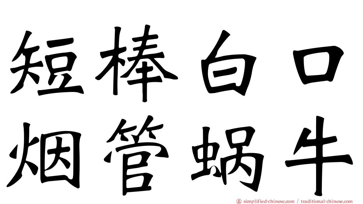 短棒白口烟管蜗牛