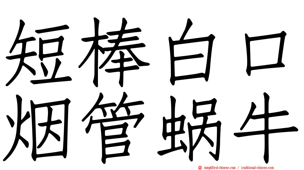 短棒白口烟管蜗牛