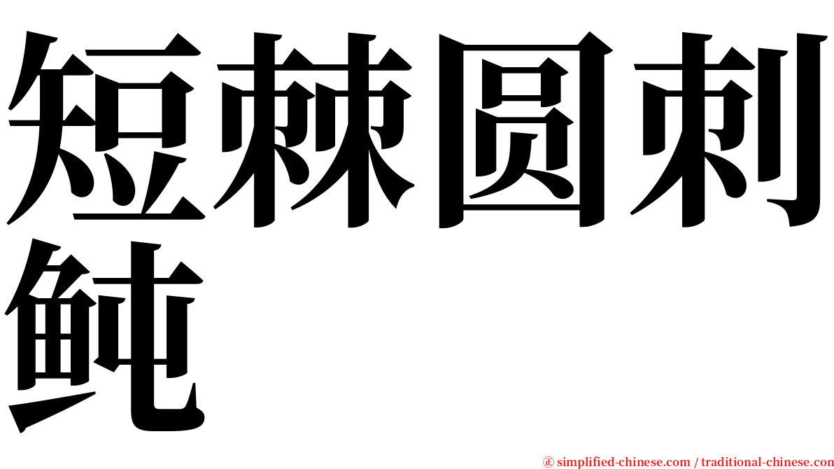 短棘圆刺鲀 serif font