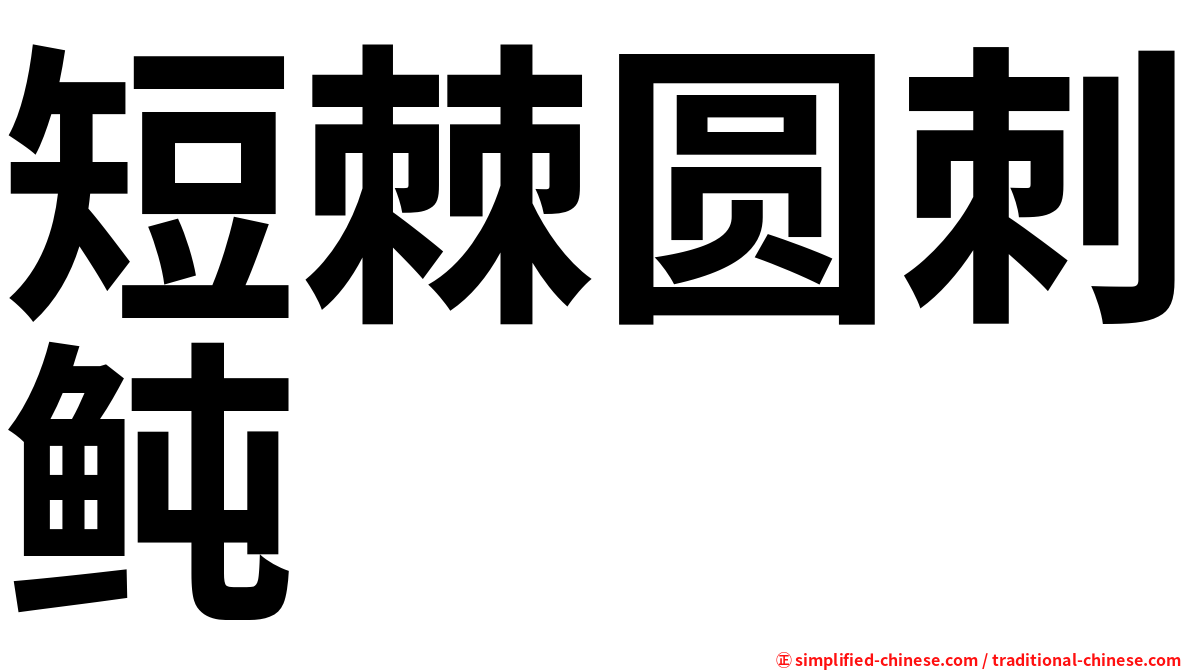 短棘圆刺鲀