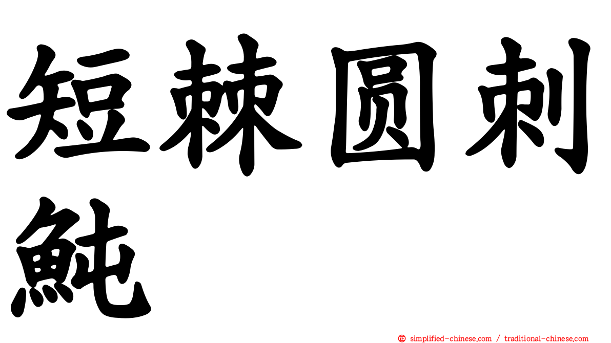 短棘圆刺鲀
