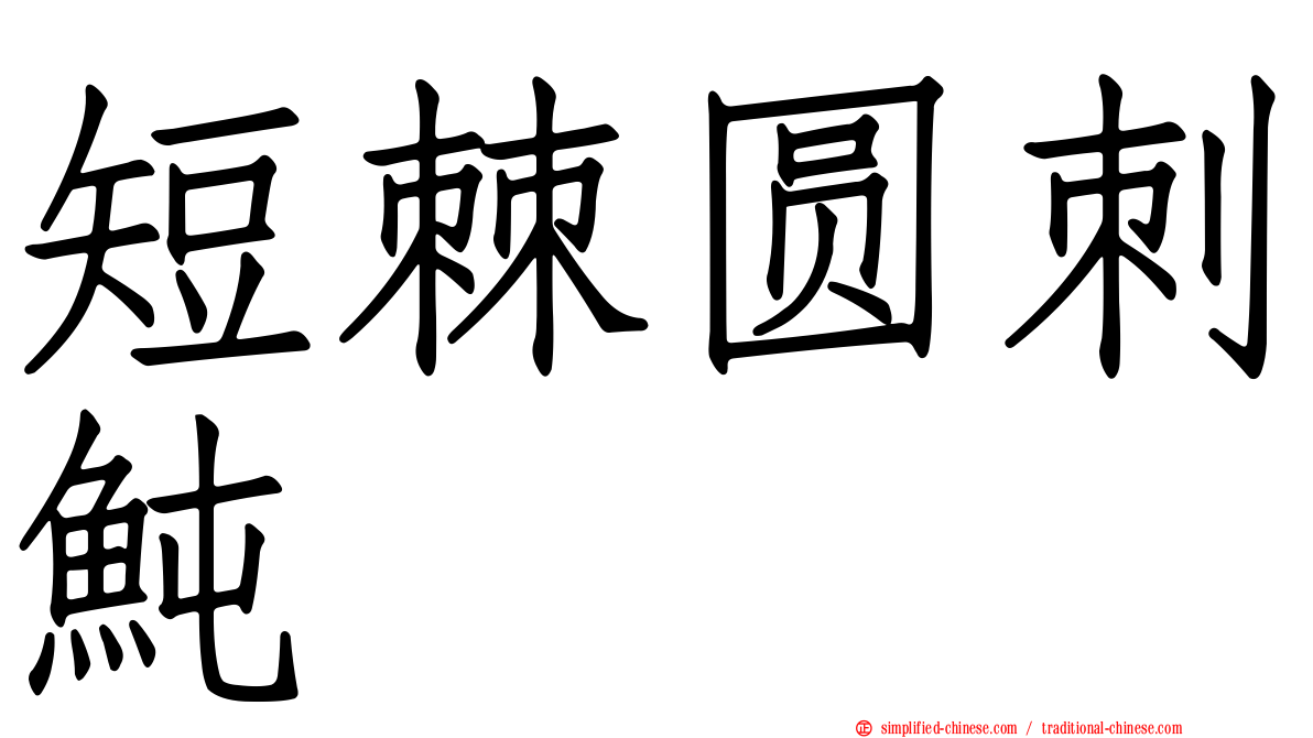 短棘圆刺鲀