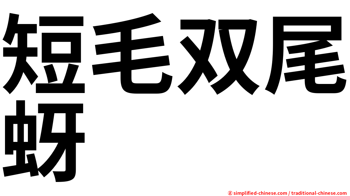 短毛双尾蚜