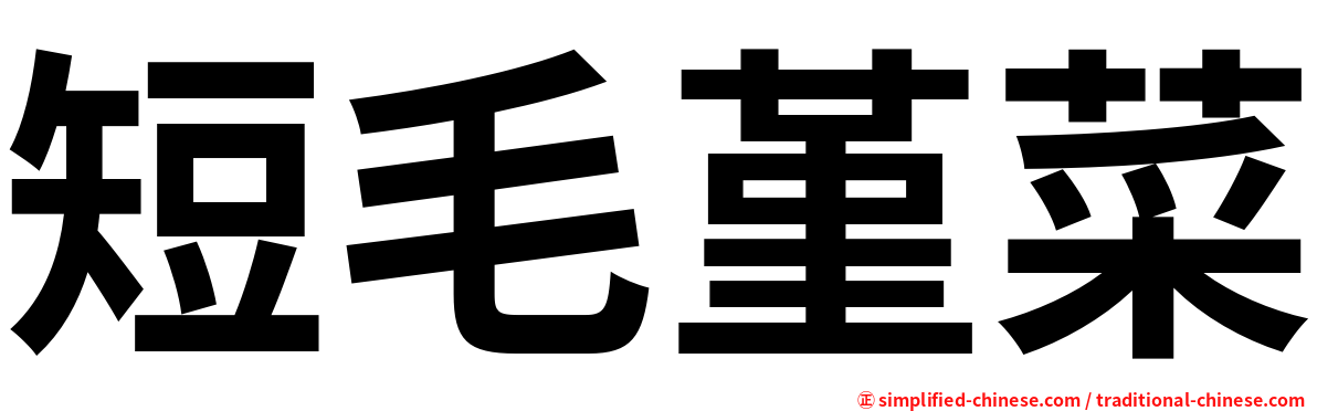 短毛堇菜