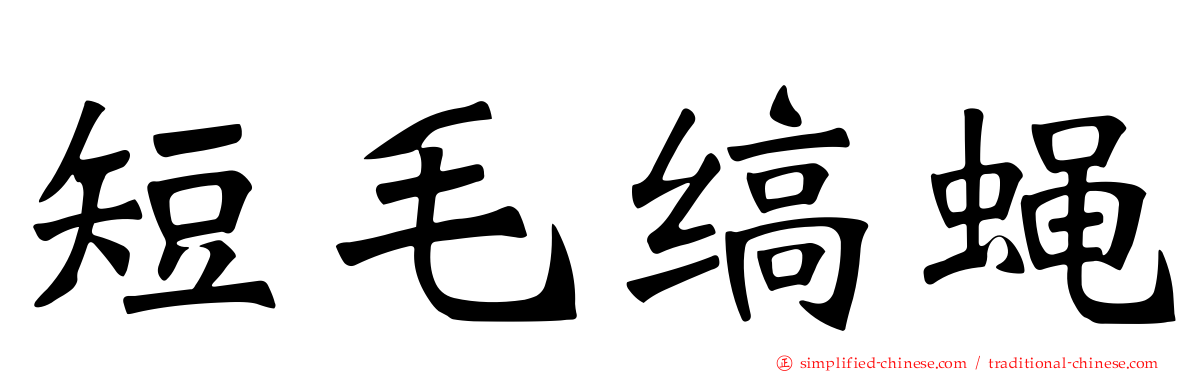 短毛缟蝇