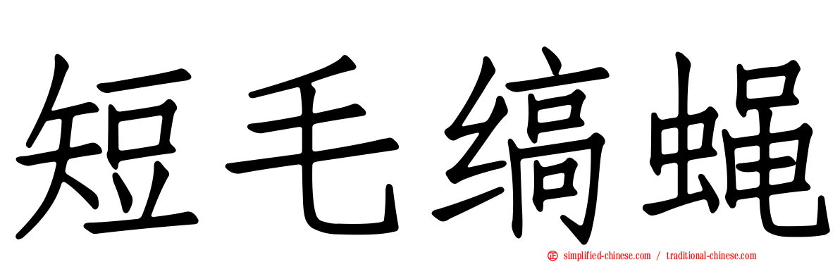 短毛缟蝇