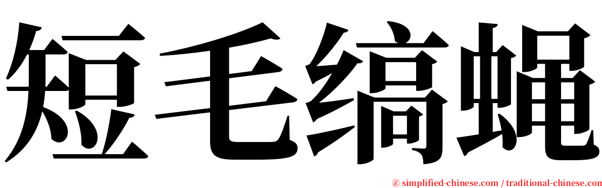 短毛缟蝇 serif font
