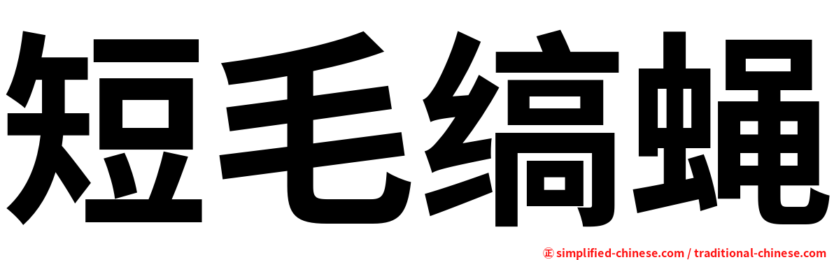 短毛缟蝇