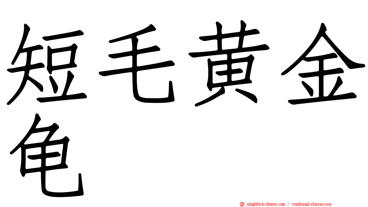 短毛黄金龟